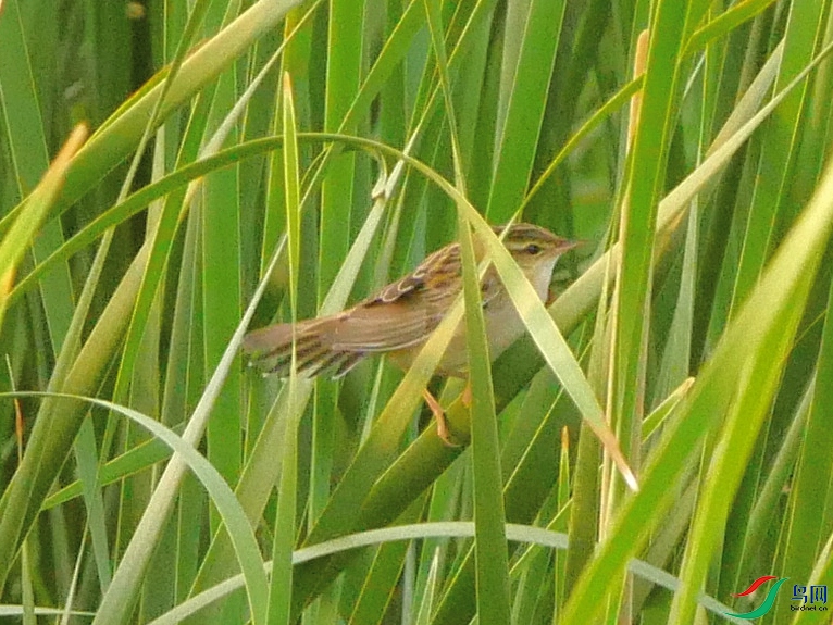 P8820294 - ���� (2).JPG