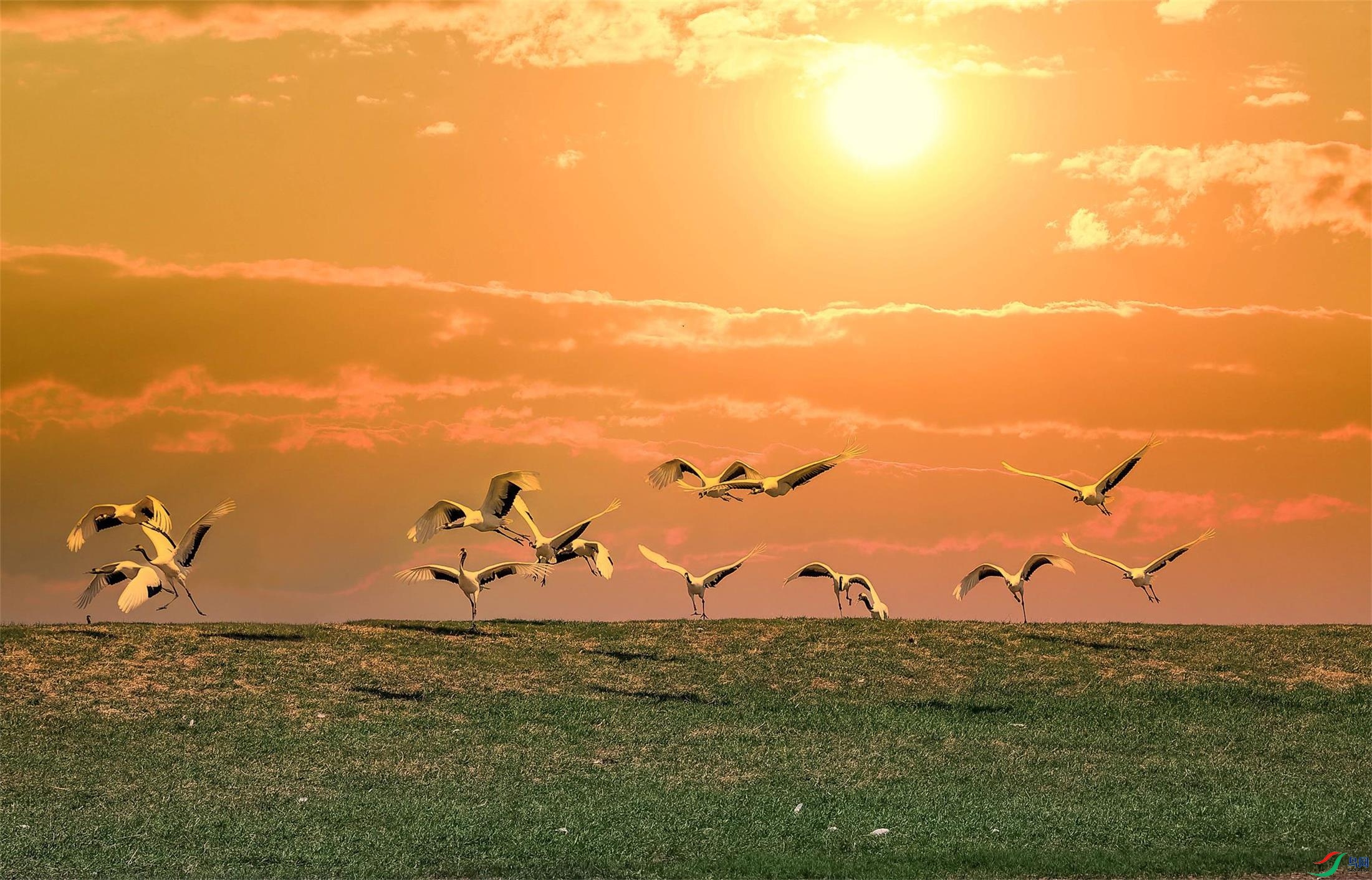 2H6A5075 (3)=01=88(1).jpg