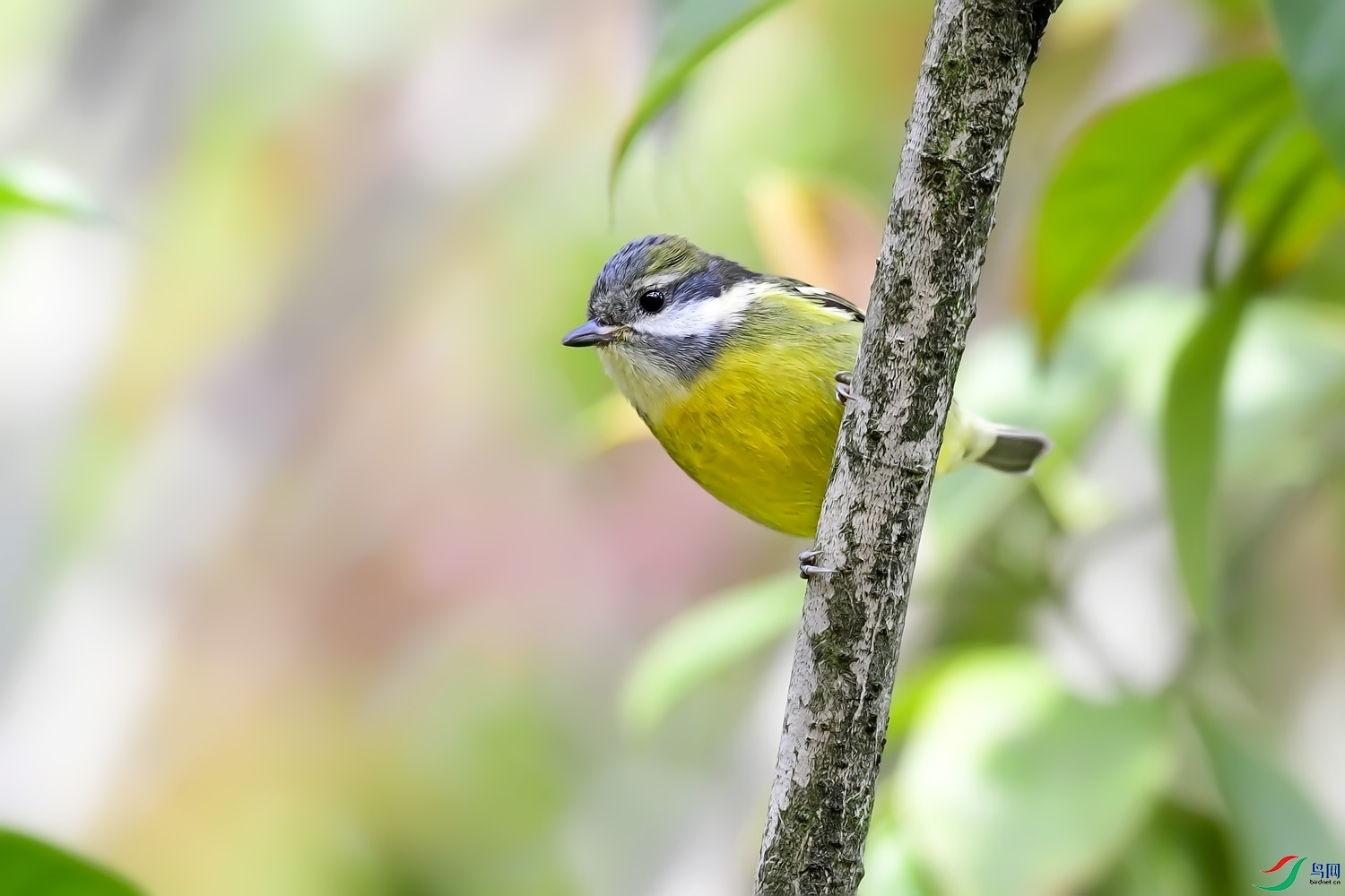 DSC_4616.jpg