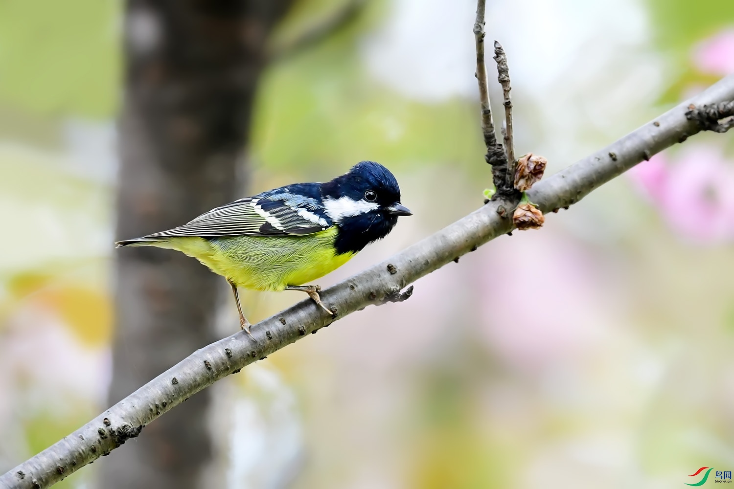 DSC_4584.jpg