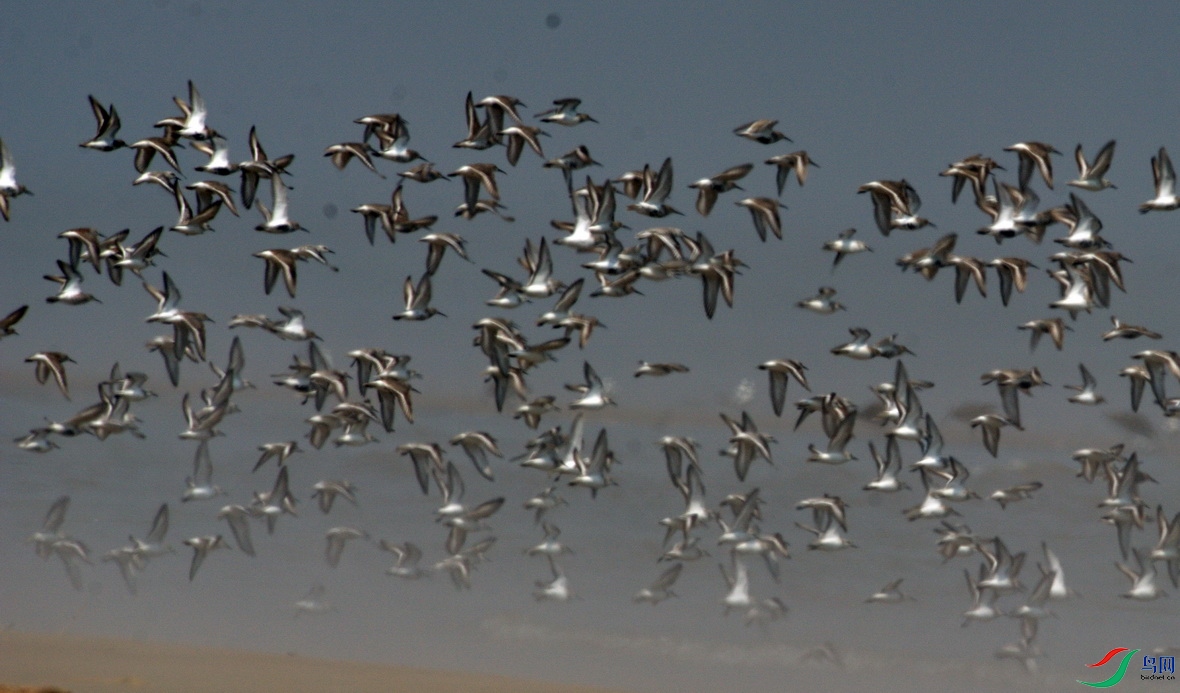 _DSC849 (2) - ����.jpg