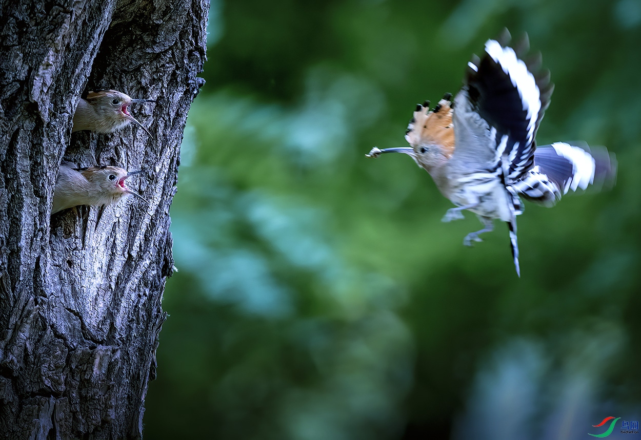 _58I5347  �����Դ���С���أ�.jpg