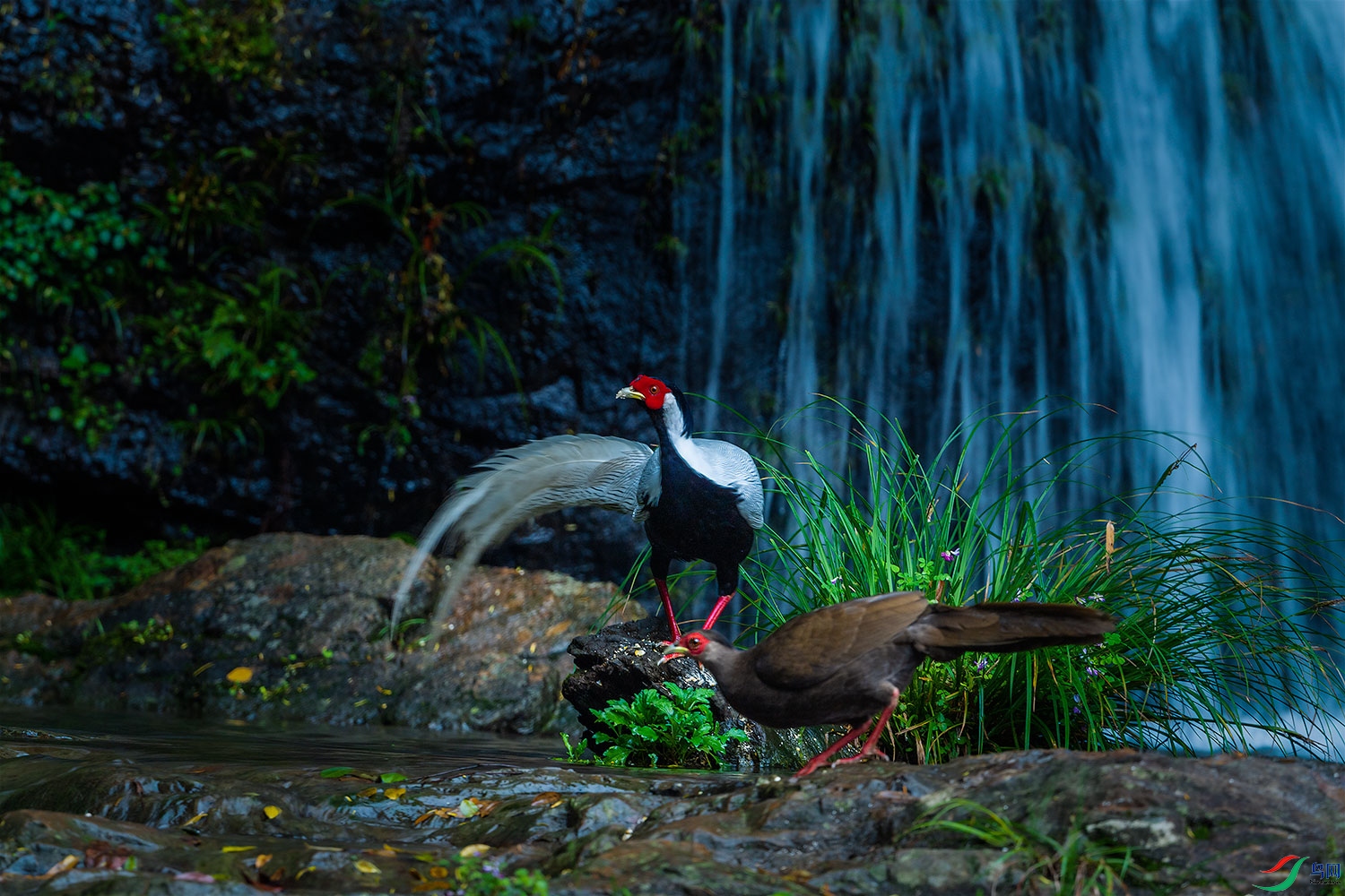 DSC_0162-2.jpg