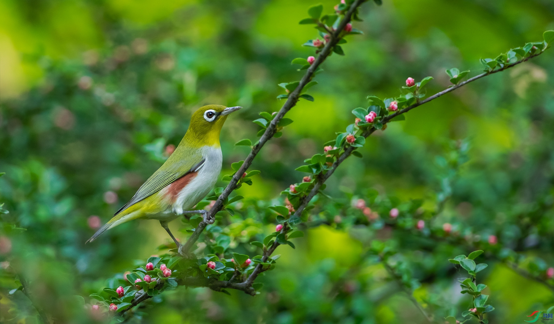 DSC_6989.jpg