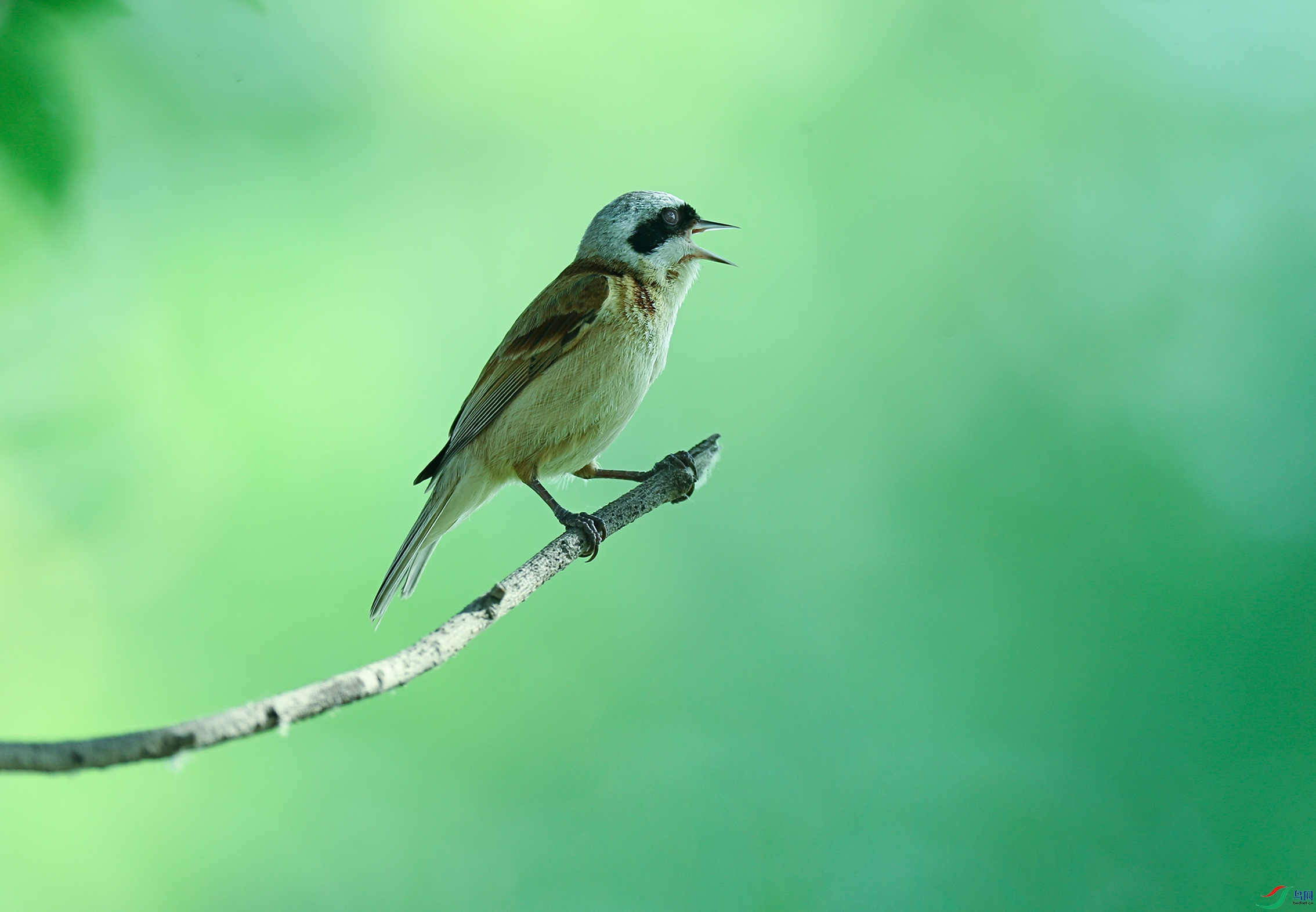 AB4O9739-2.jpg