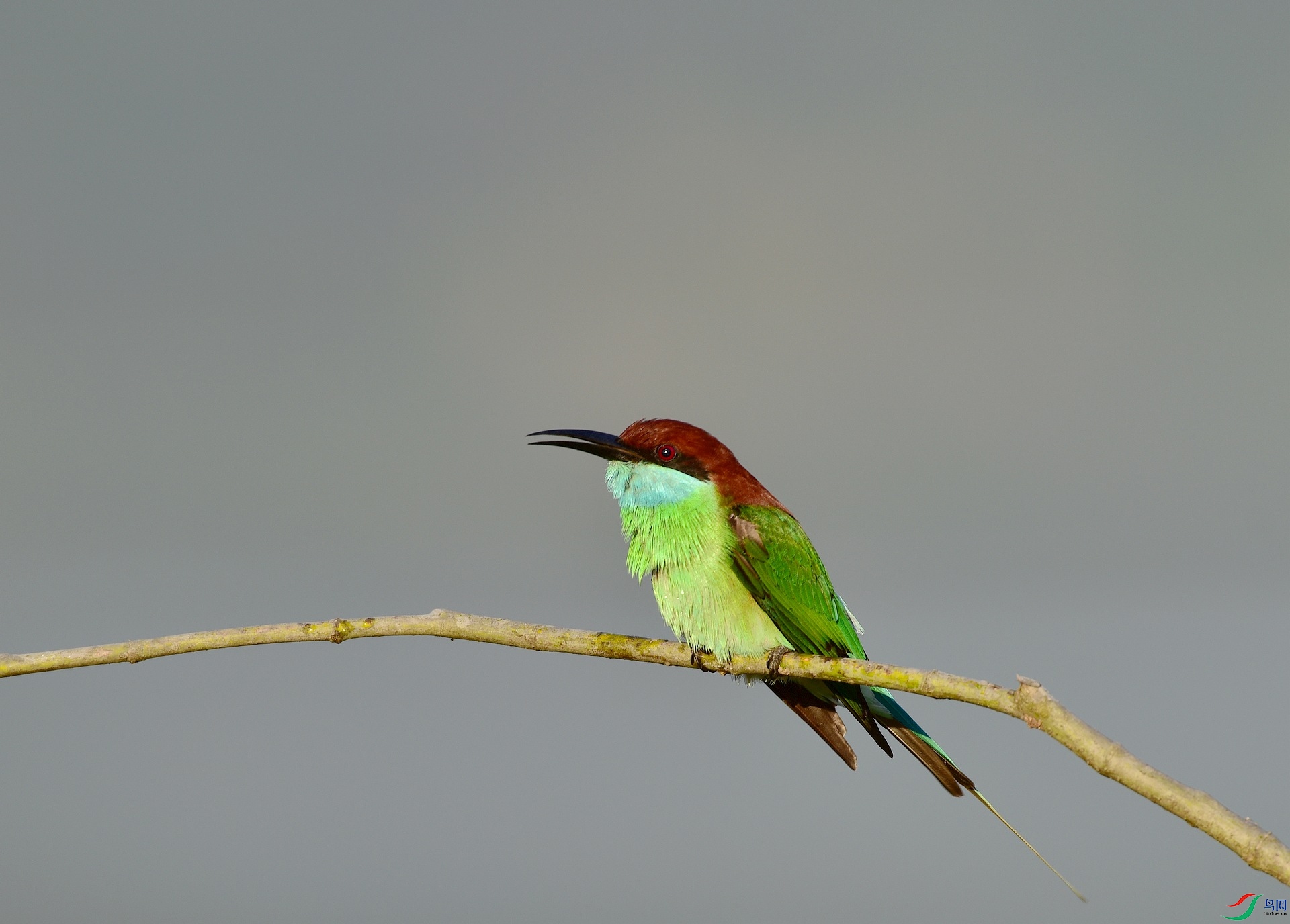 D8I_9606.jpg