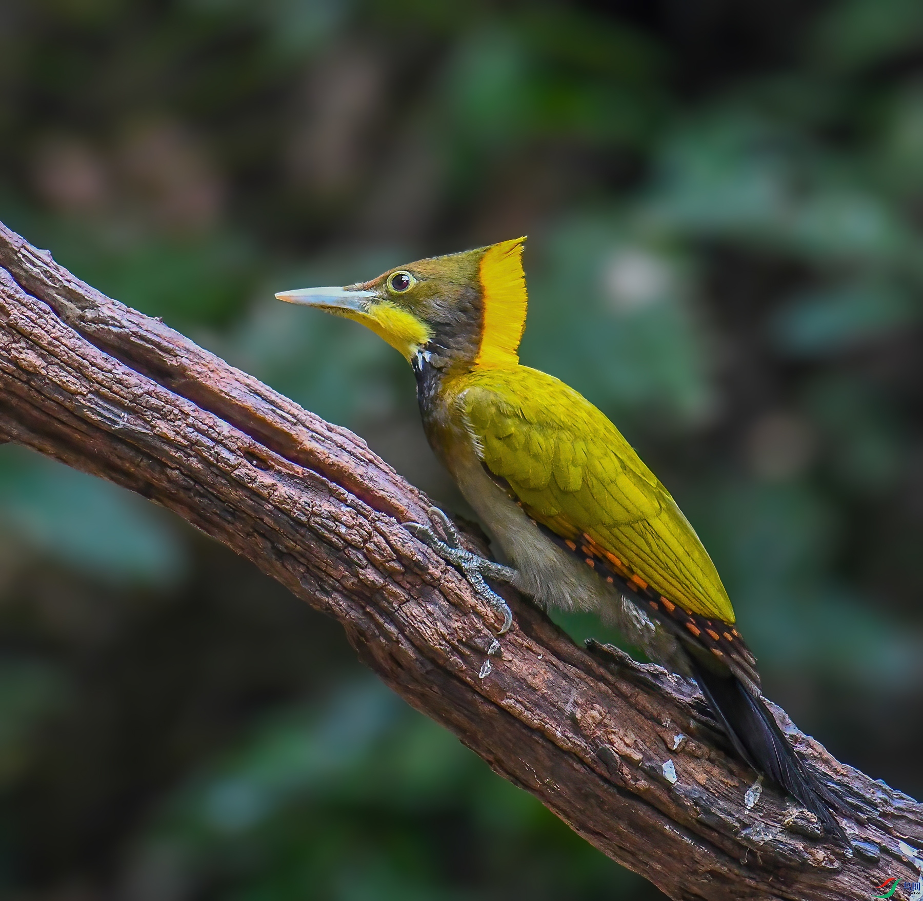 DSC_5690-edit.jpg