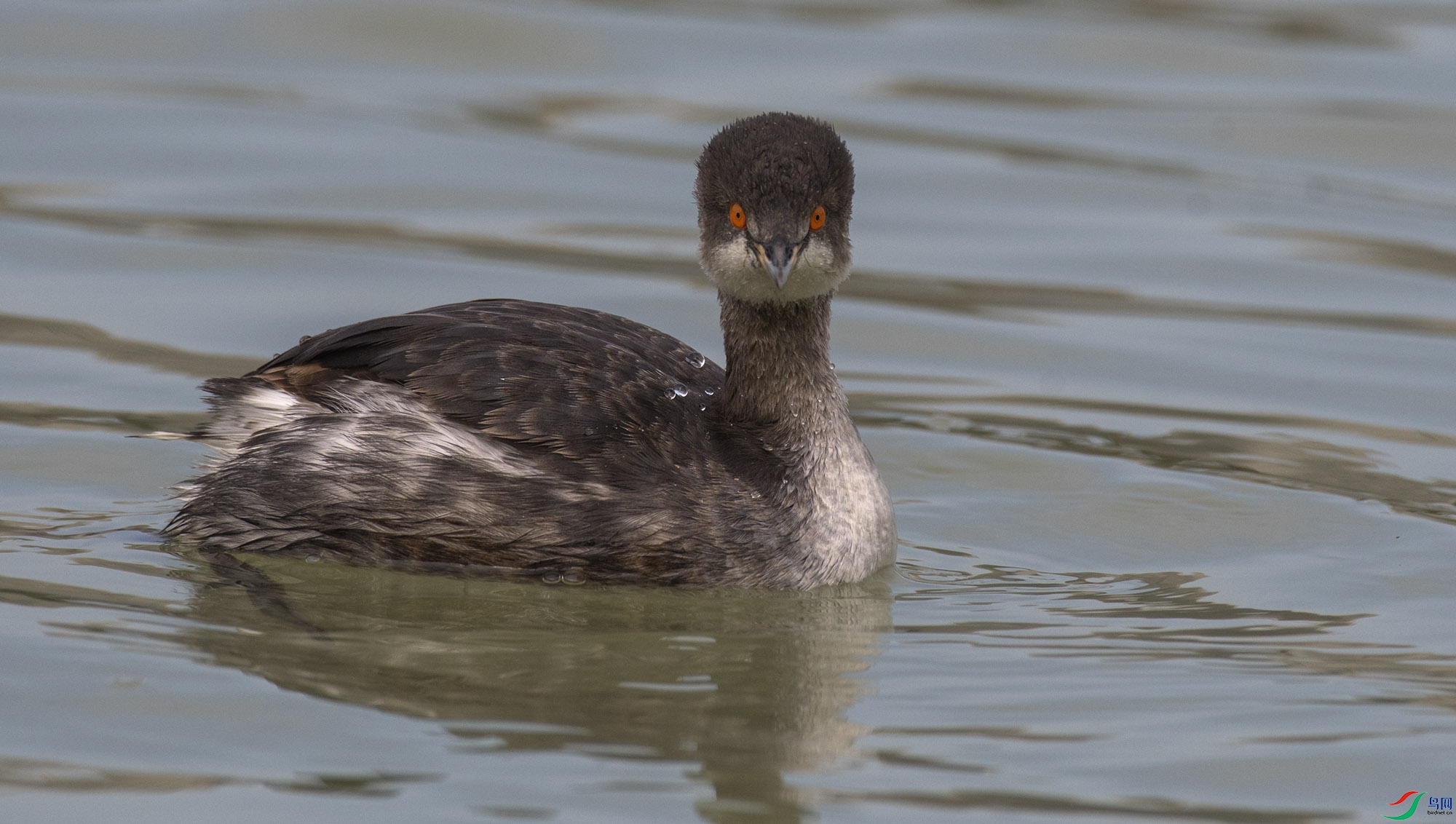 DSC_9235.jpg