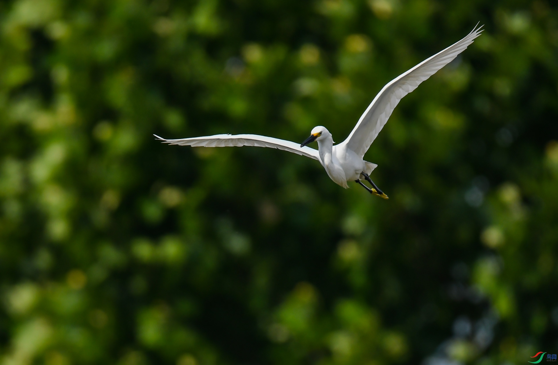DSC_3695.jpg