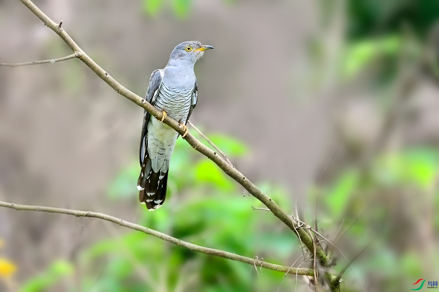 DSC_2013.jpg