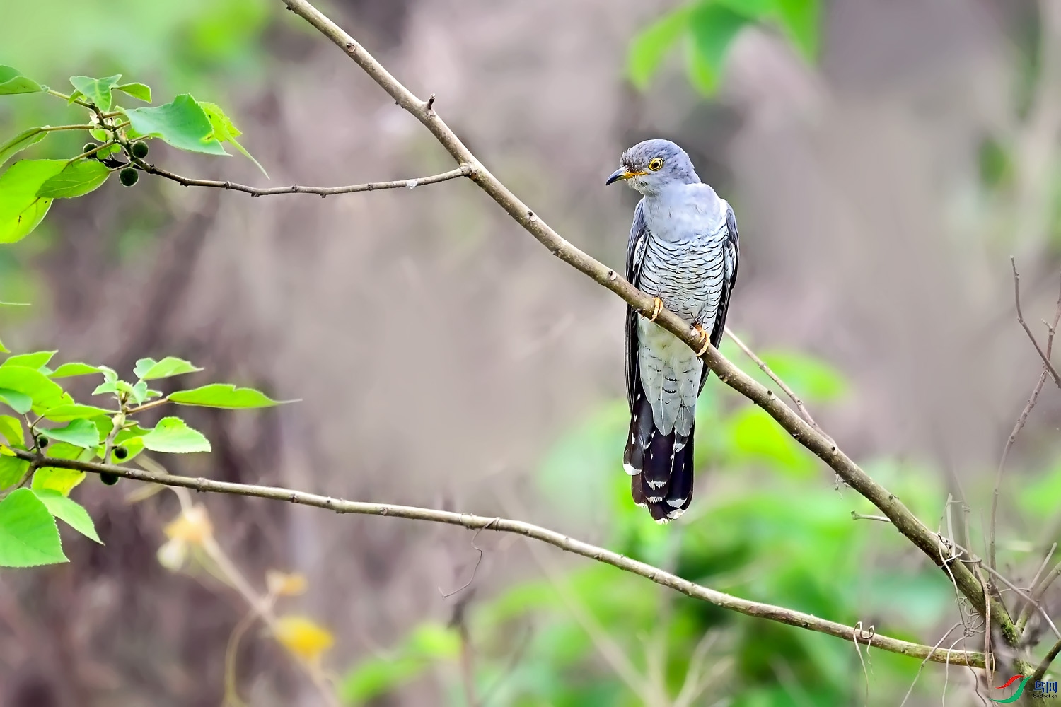 DSC_2034.jpg