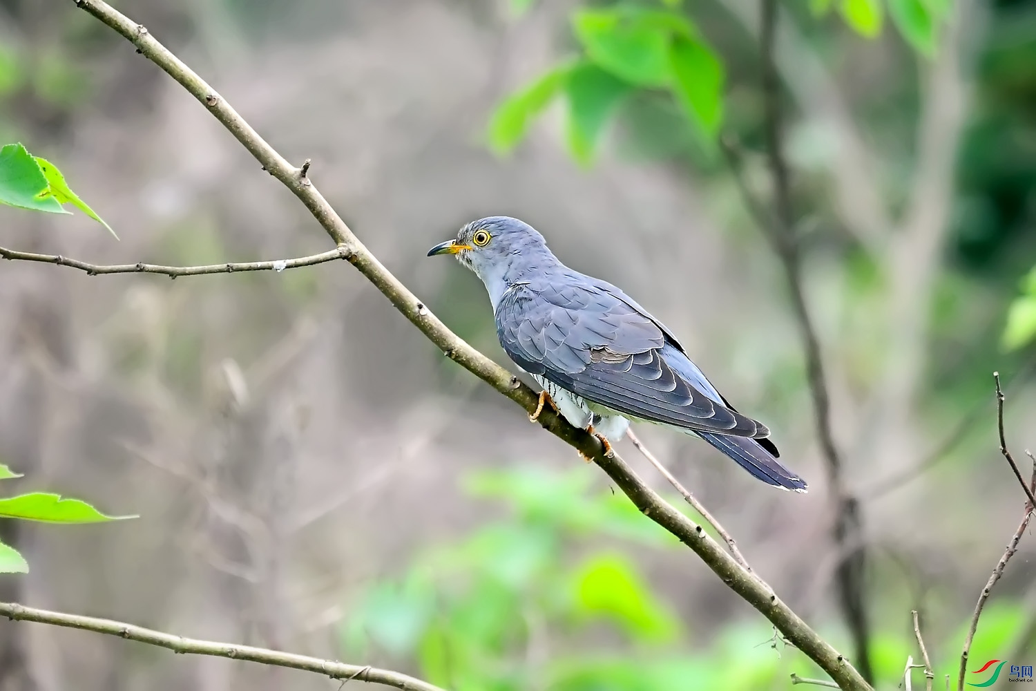 DSC_2092.jpg