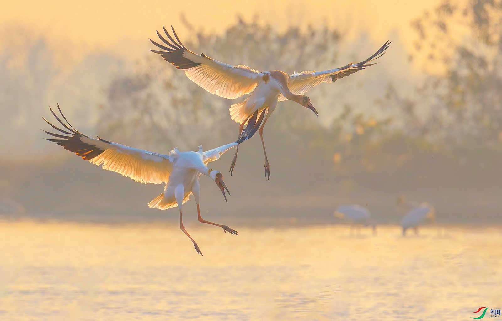 AI8I3209 ���� 3.jpg