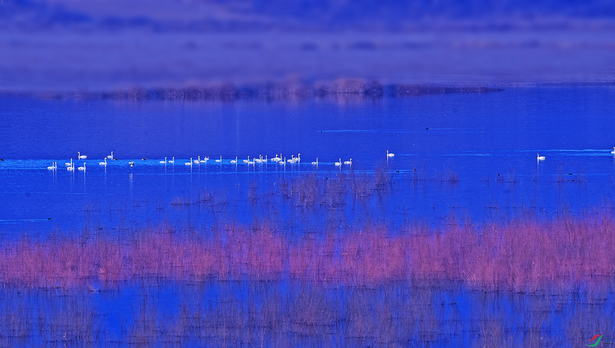 DSC_9163.jpg