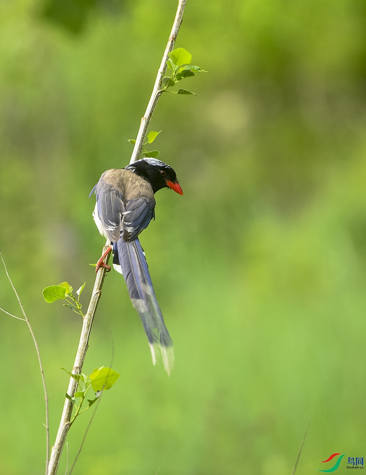 DSC_5369.jpg