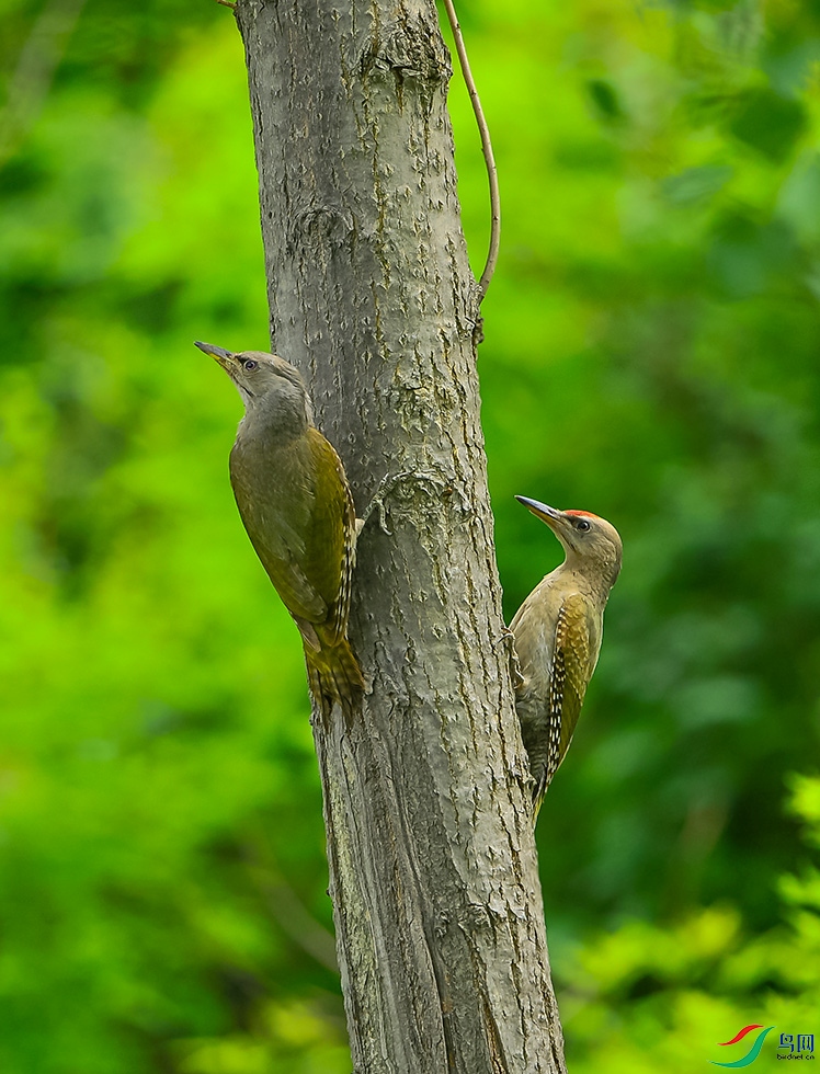 DSC_6060.jpg