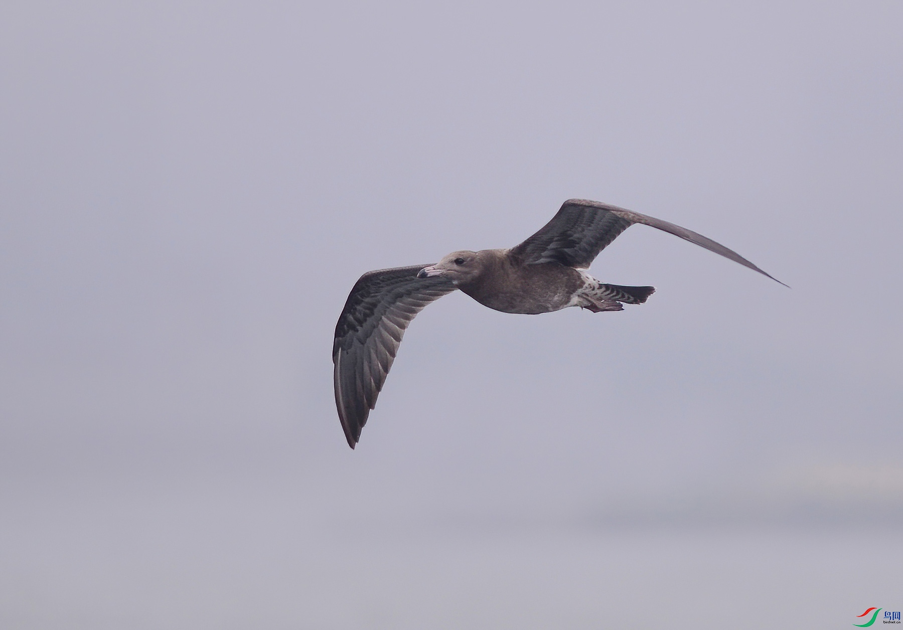 DSC_0588.jpg