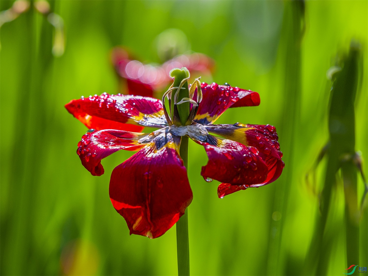 039 ����1.jpg