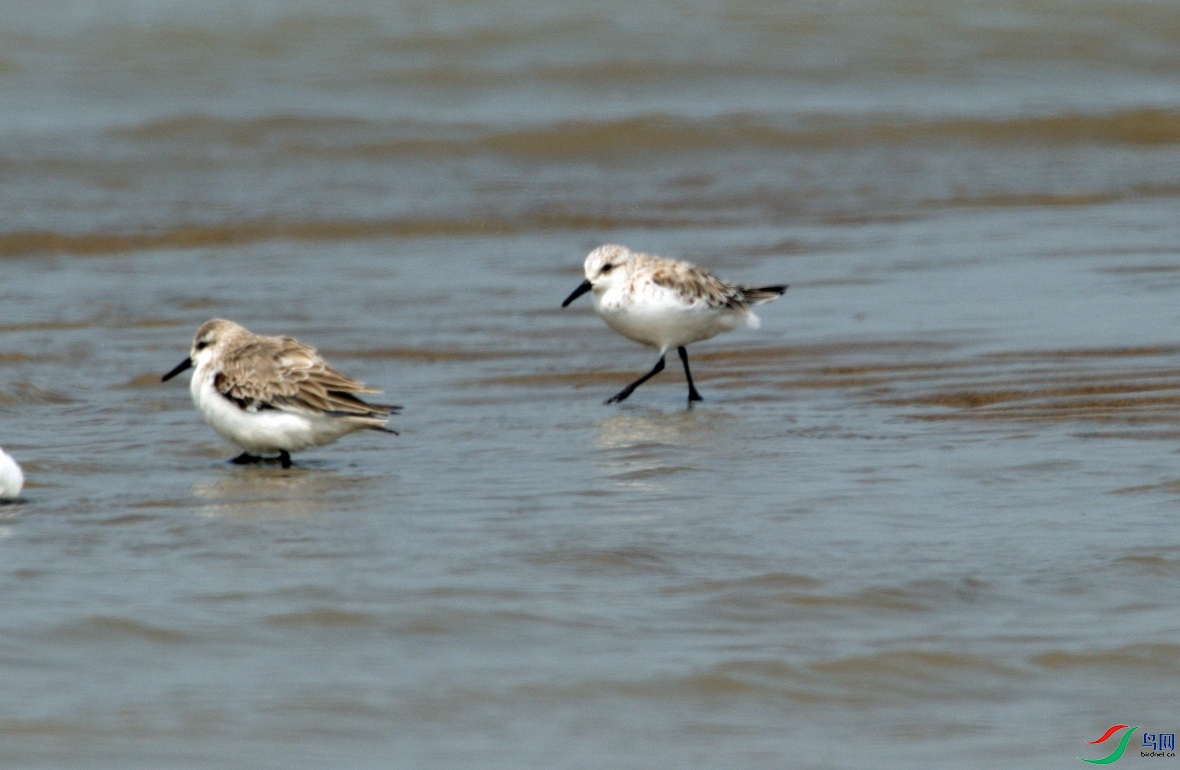 _DSC859 (2) - ����.jpg