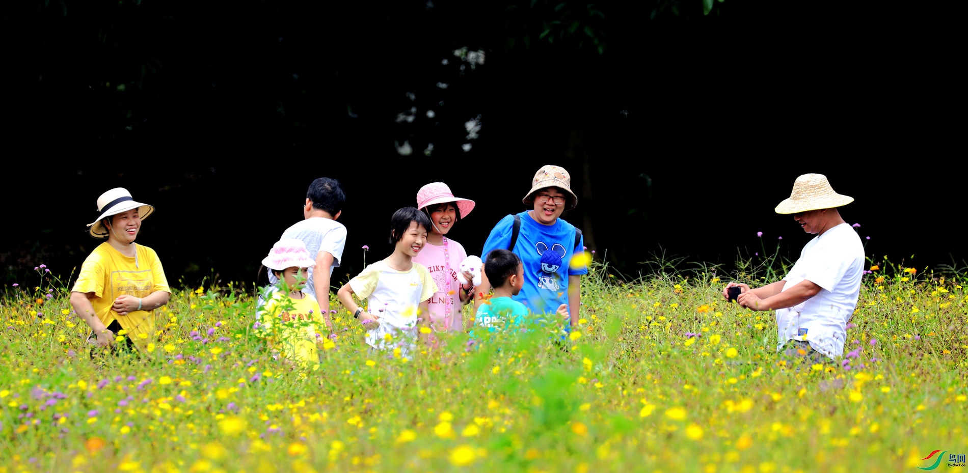 ���绨���ϼһ�