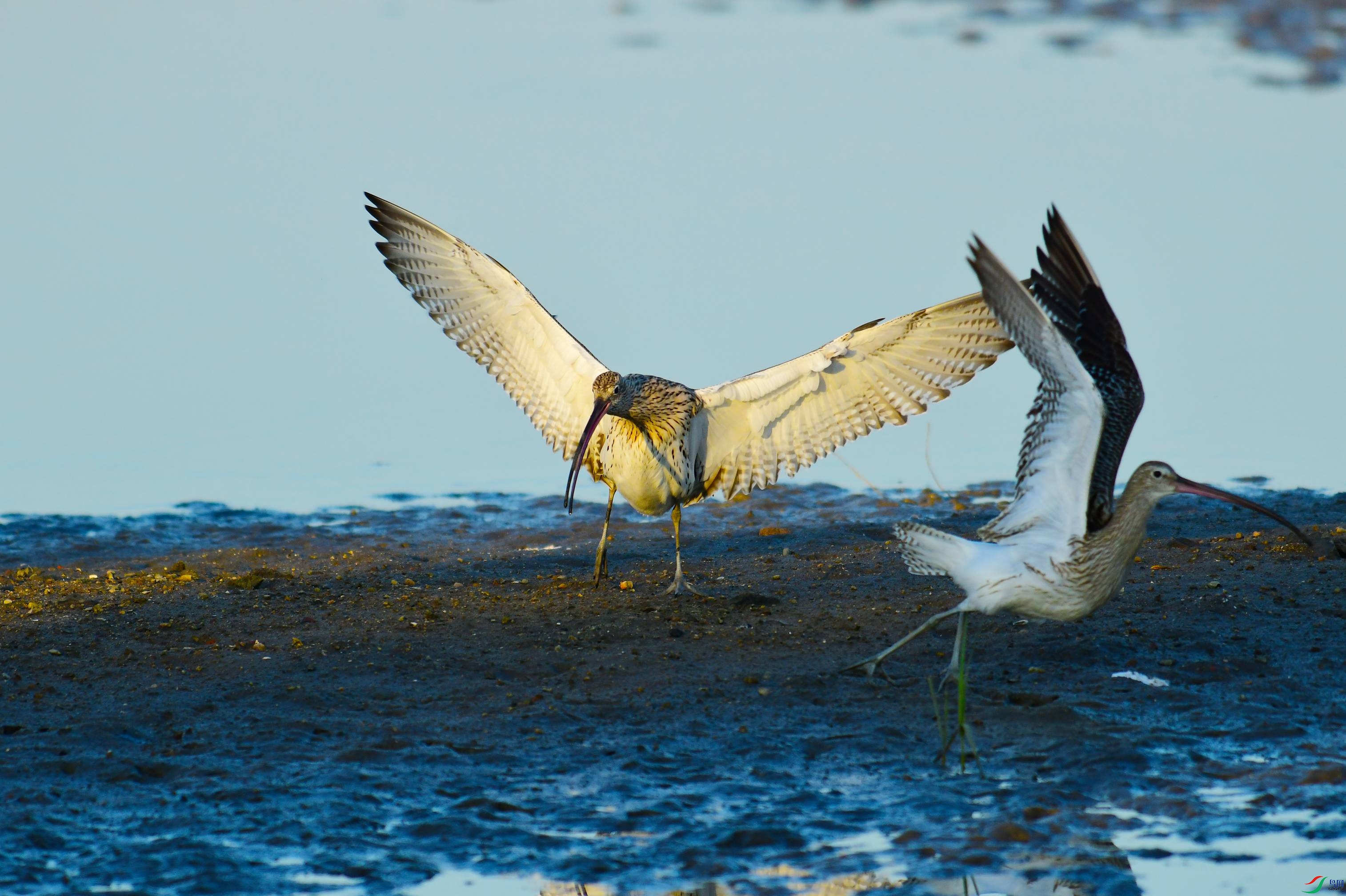 DSC_6187.JPG