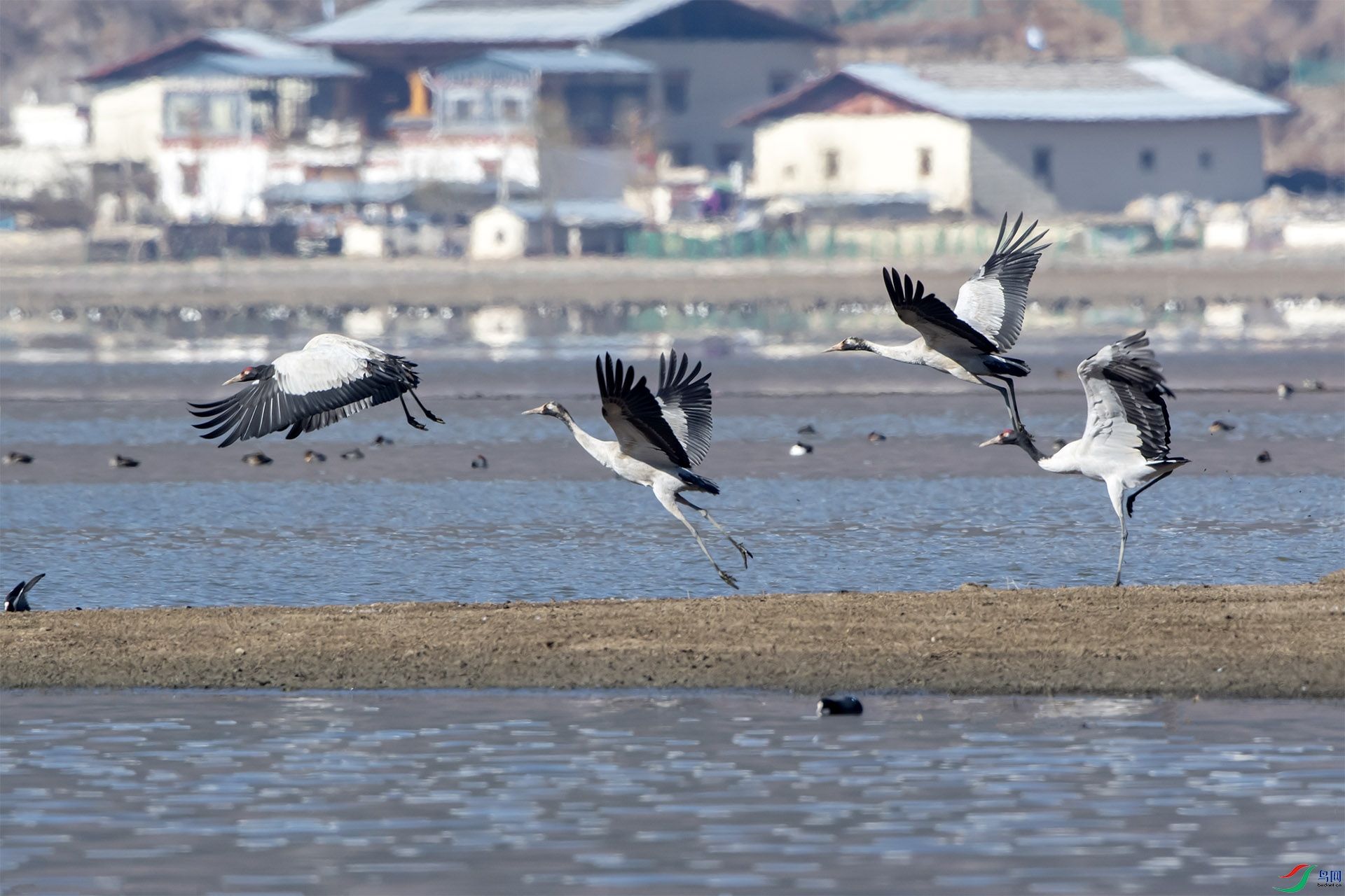 DSC_9850.jpg
