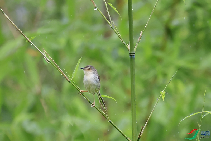 A28A8575-.jpg