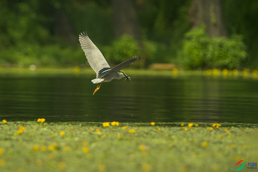 DSC_2629.jpg