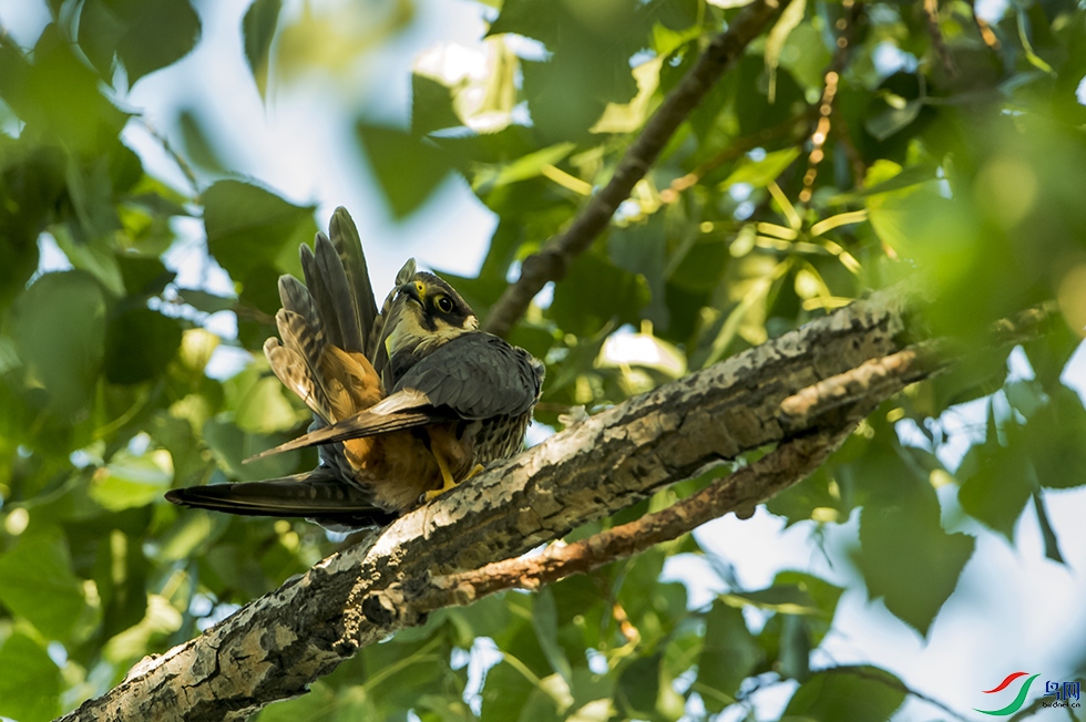DSC_4849.jpg