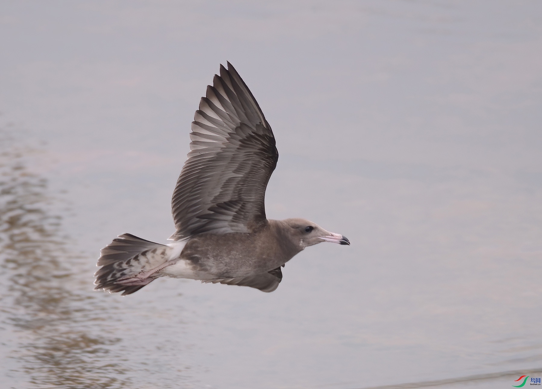DSC_0552.jpg