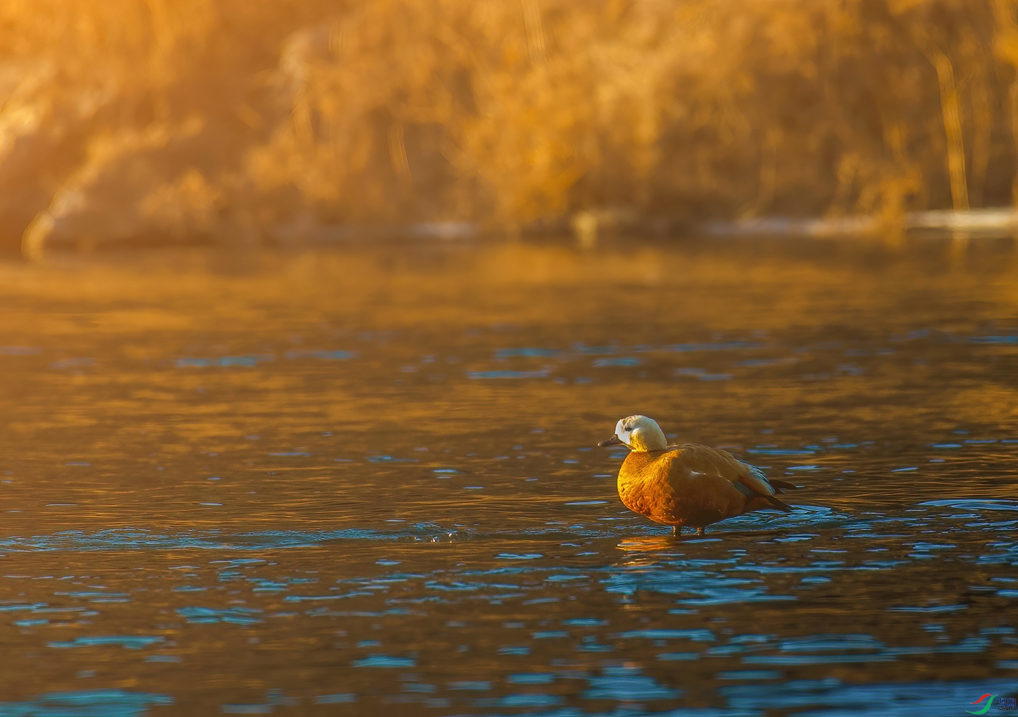 DS1_4317.jpg