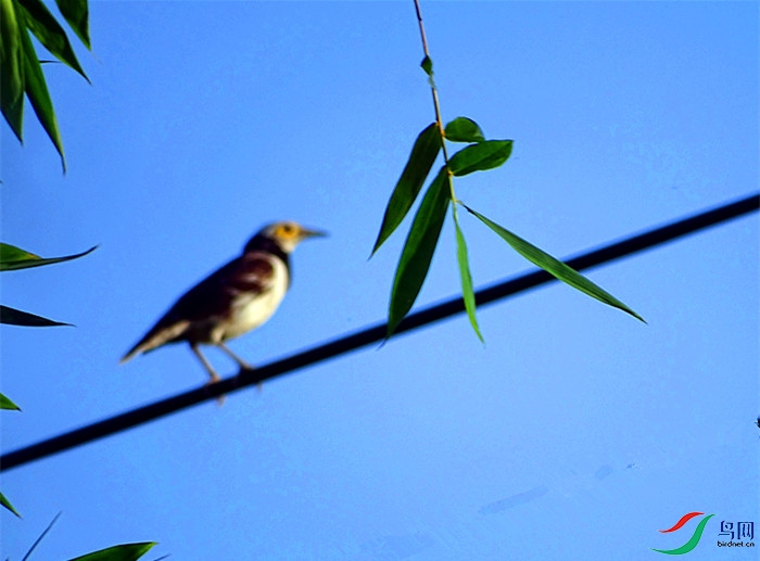 DSC02037.JPG