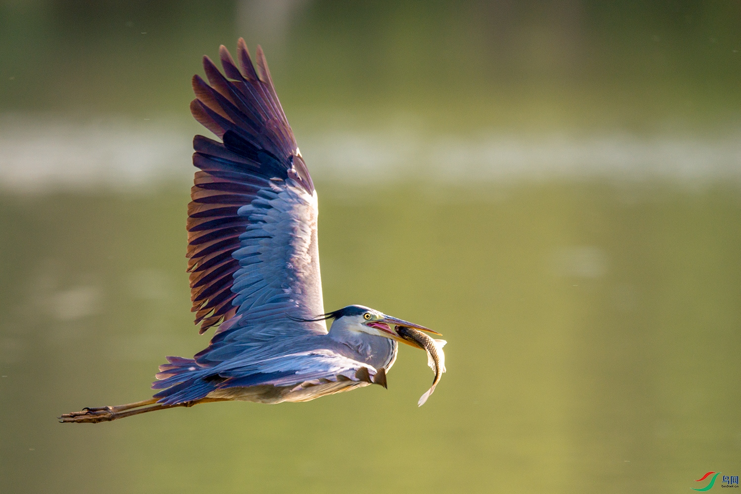 _DSC8070.jpg
