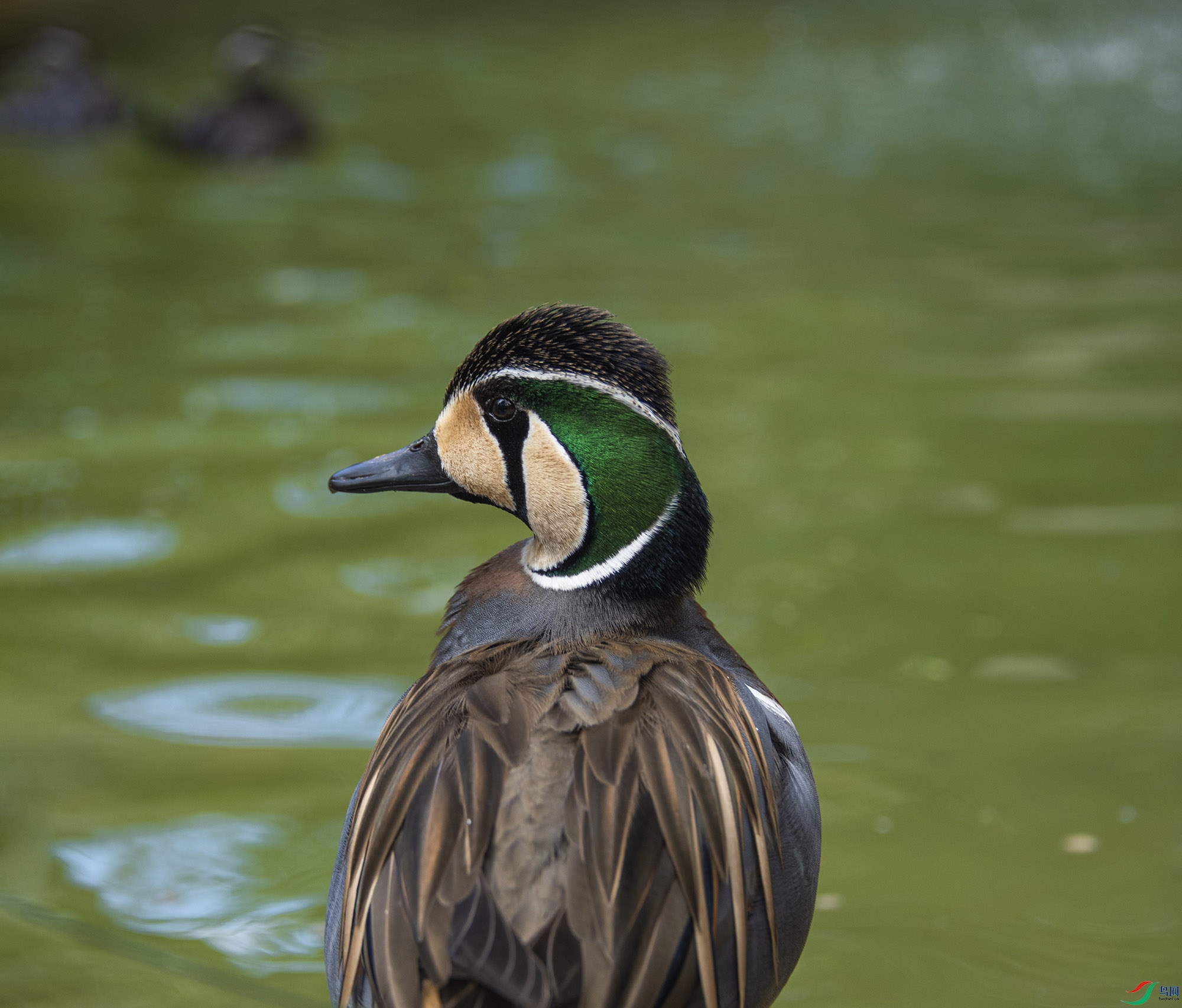 DSC_1934.jpg