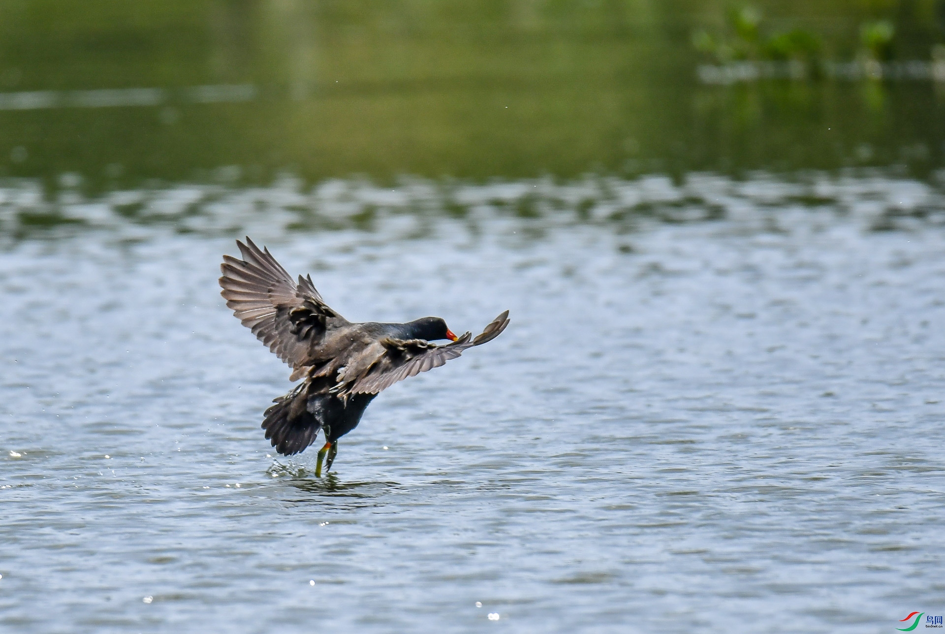 DSC_5233.jpg