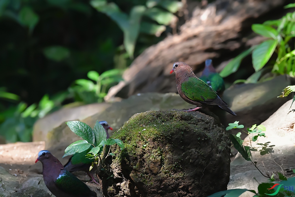 DSC_5177_DxOa.jpg