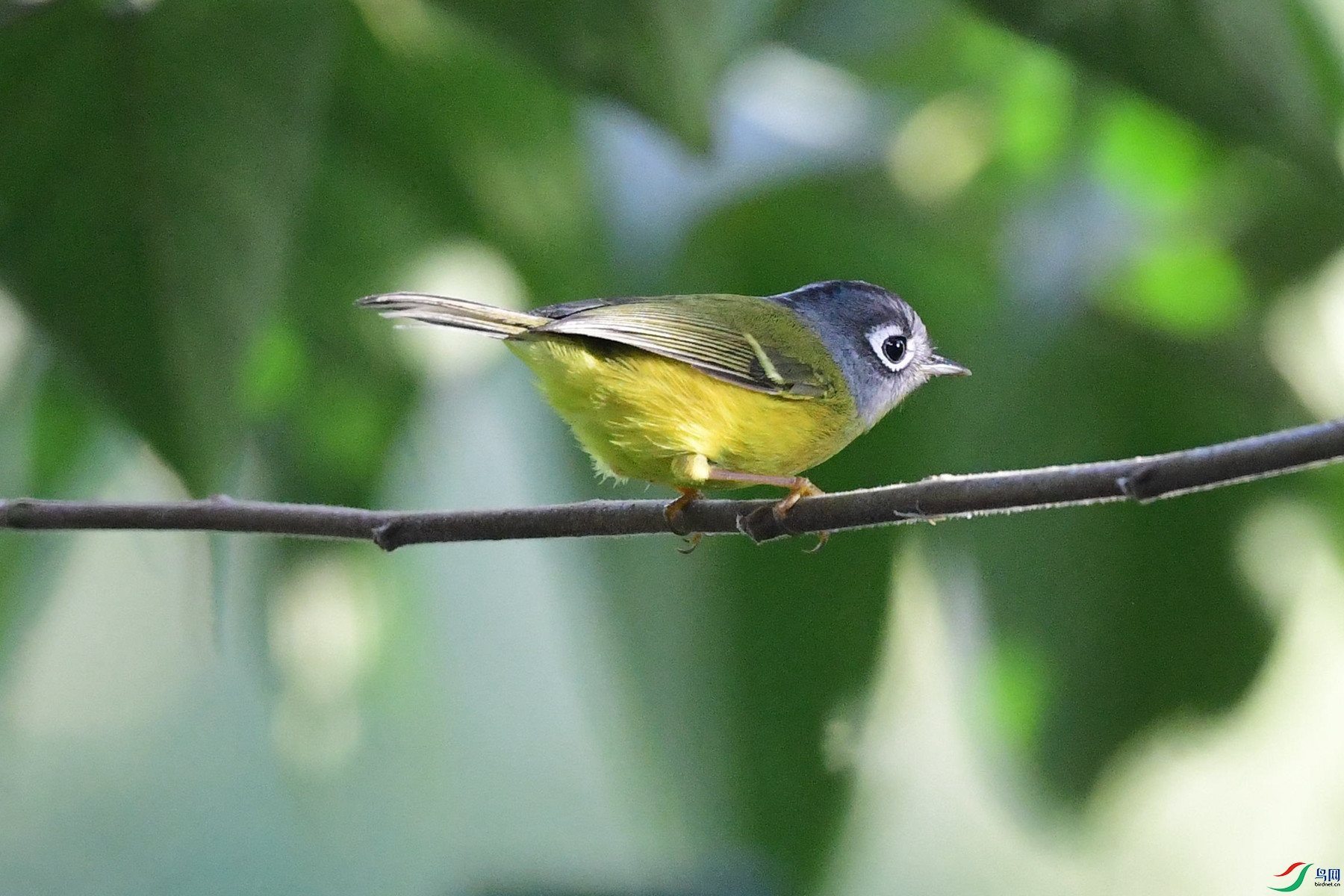 DSC_5008_P�㶫.jpg