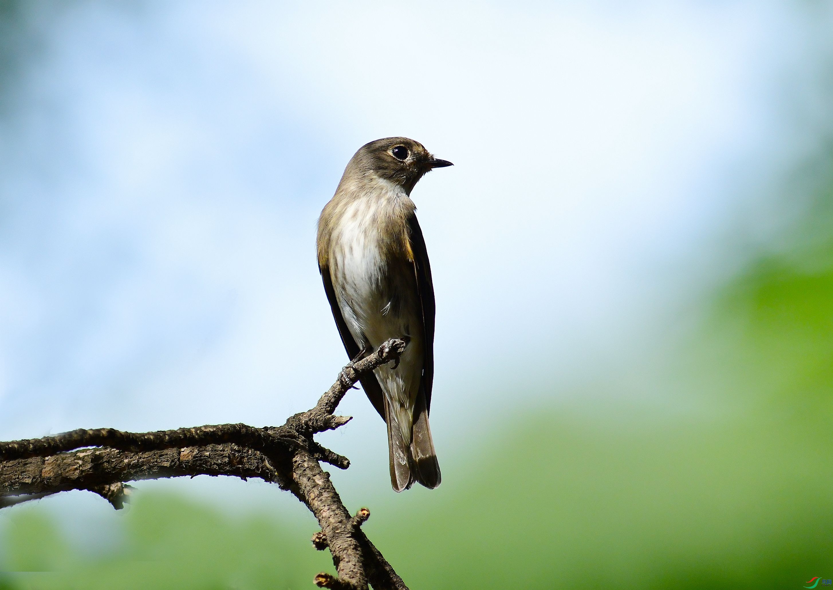 DSC_6343.JPG