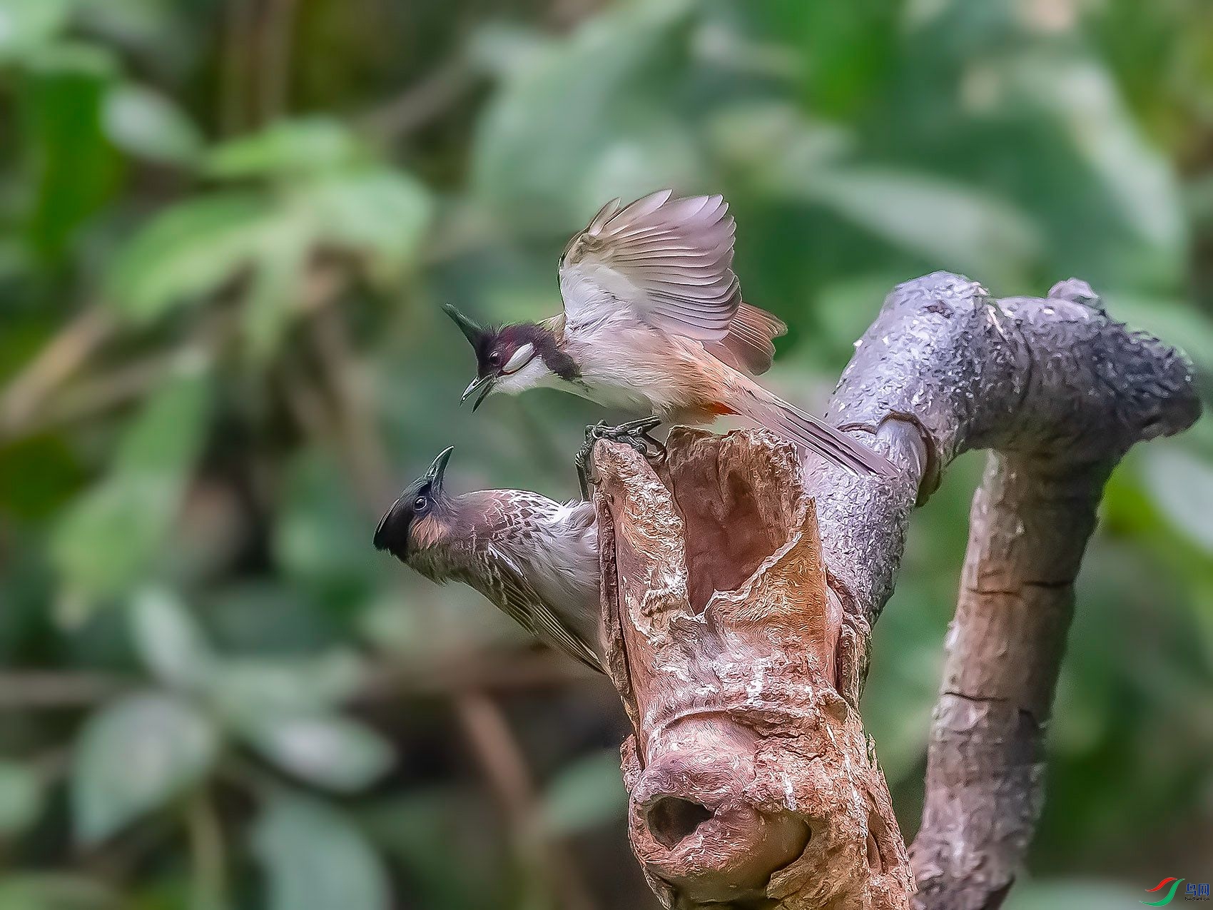 DSC_6373.jpg