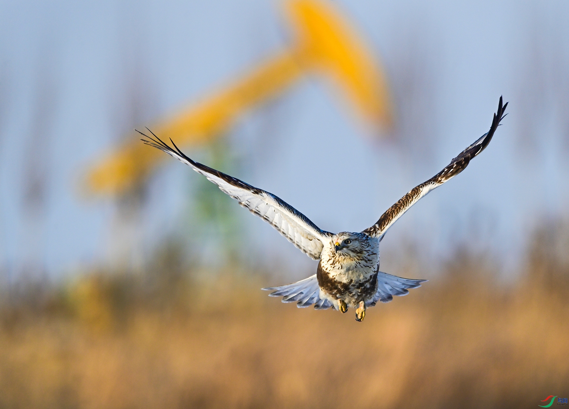 �ͳǡ���ʿ��Ѳ����