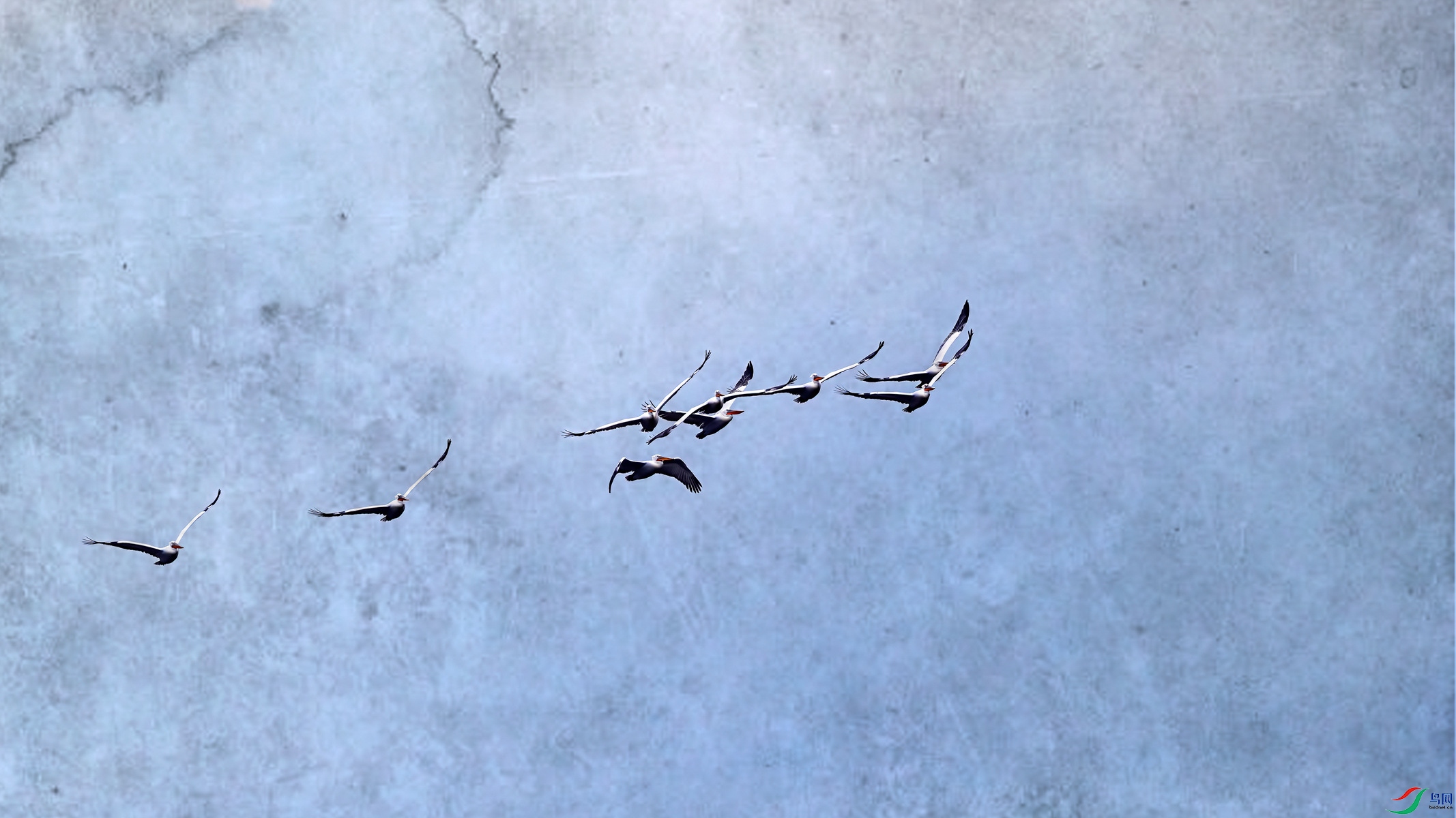 _F1I6423-1_����.jpg