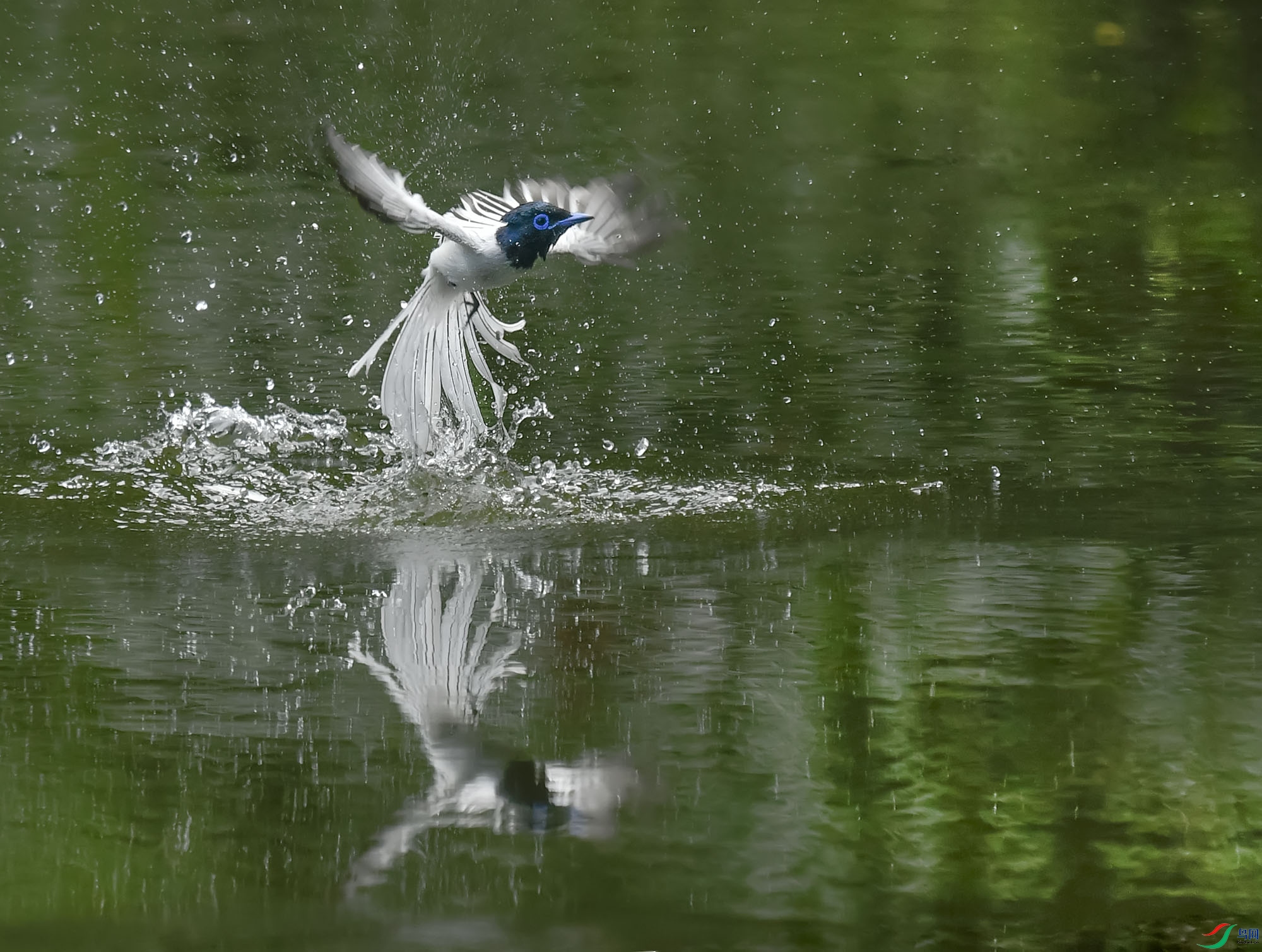 _Y210810-1.jpg