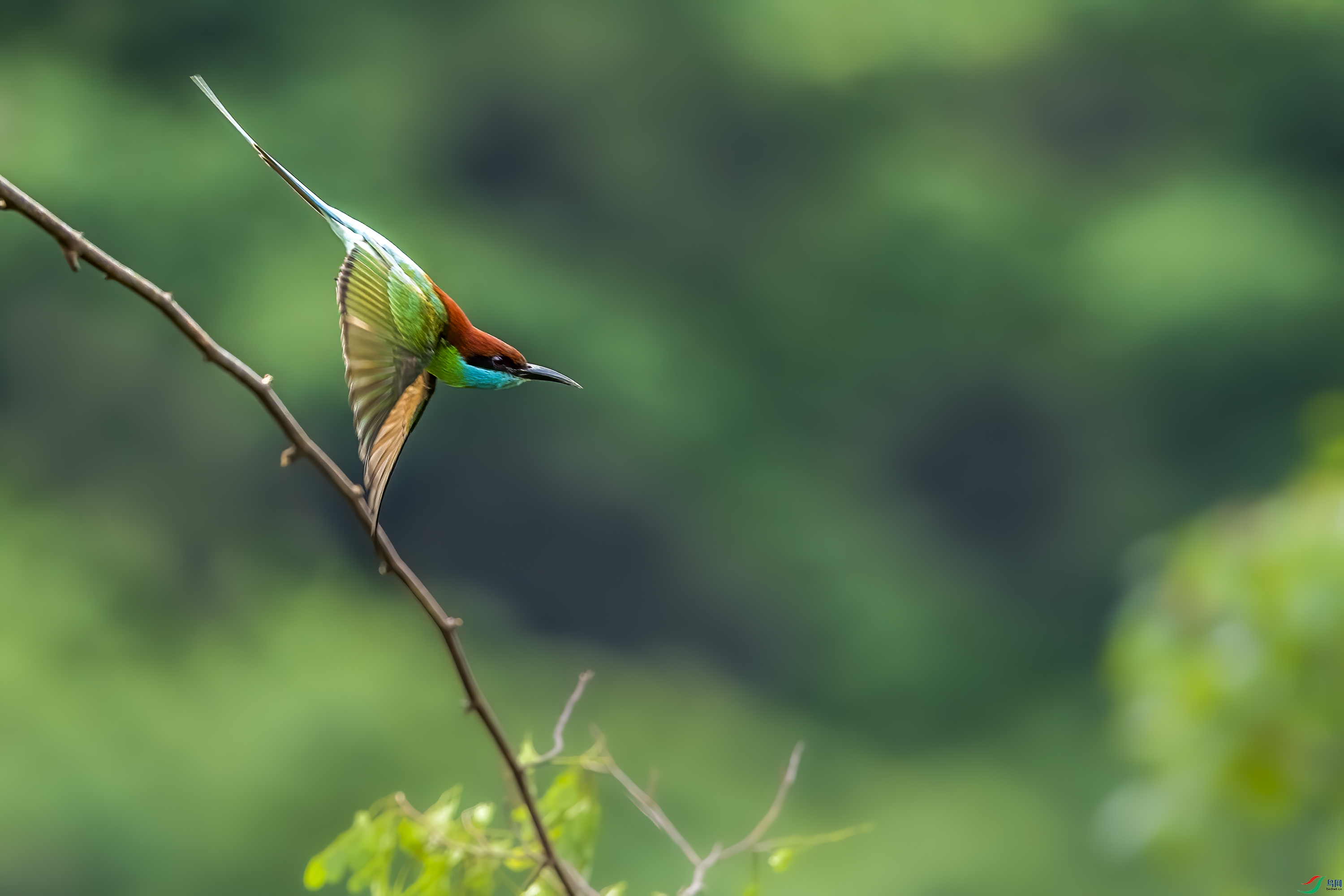 DSC_2181.jpg