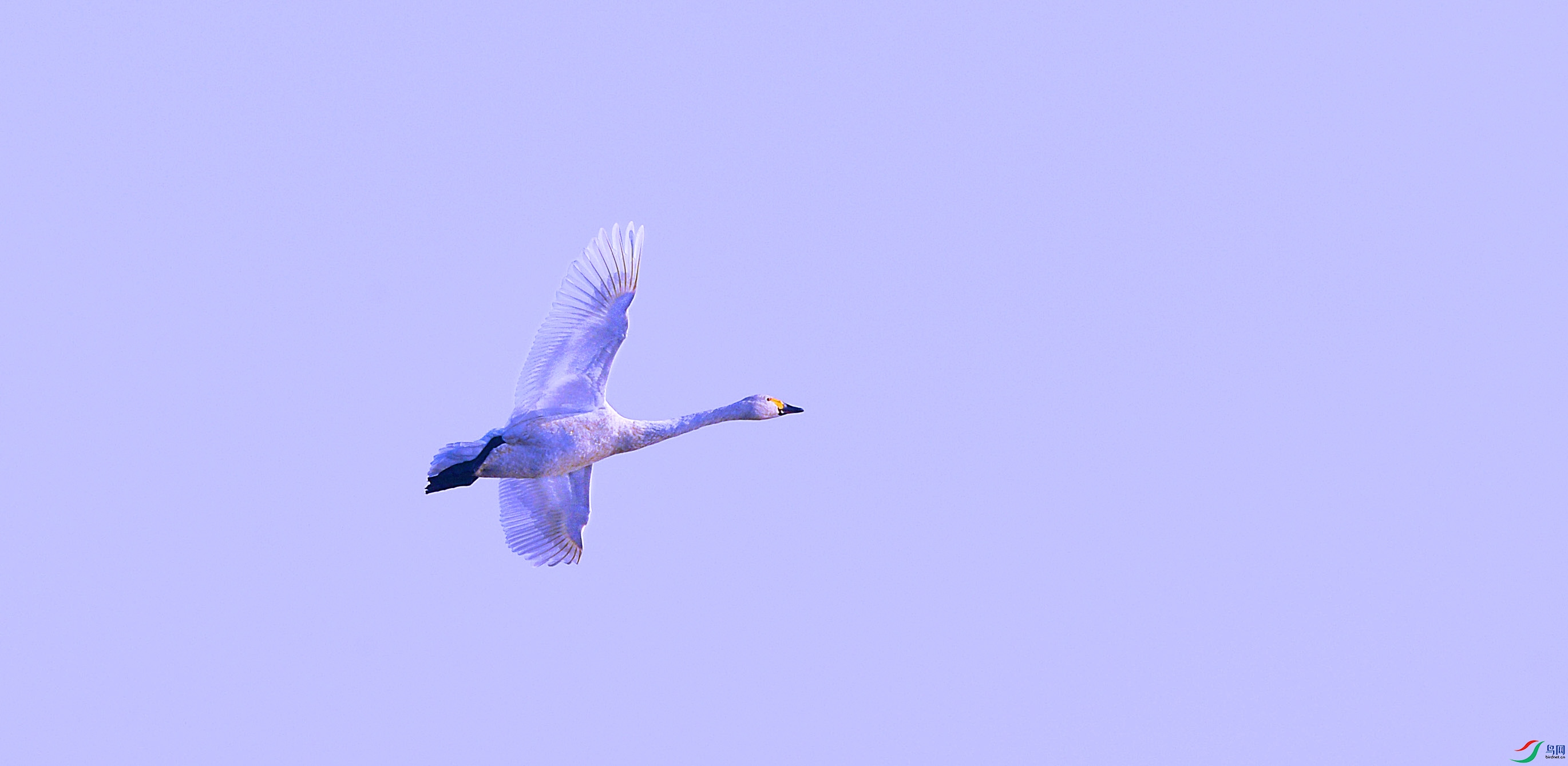 DSC_5932.jpg