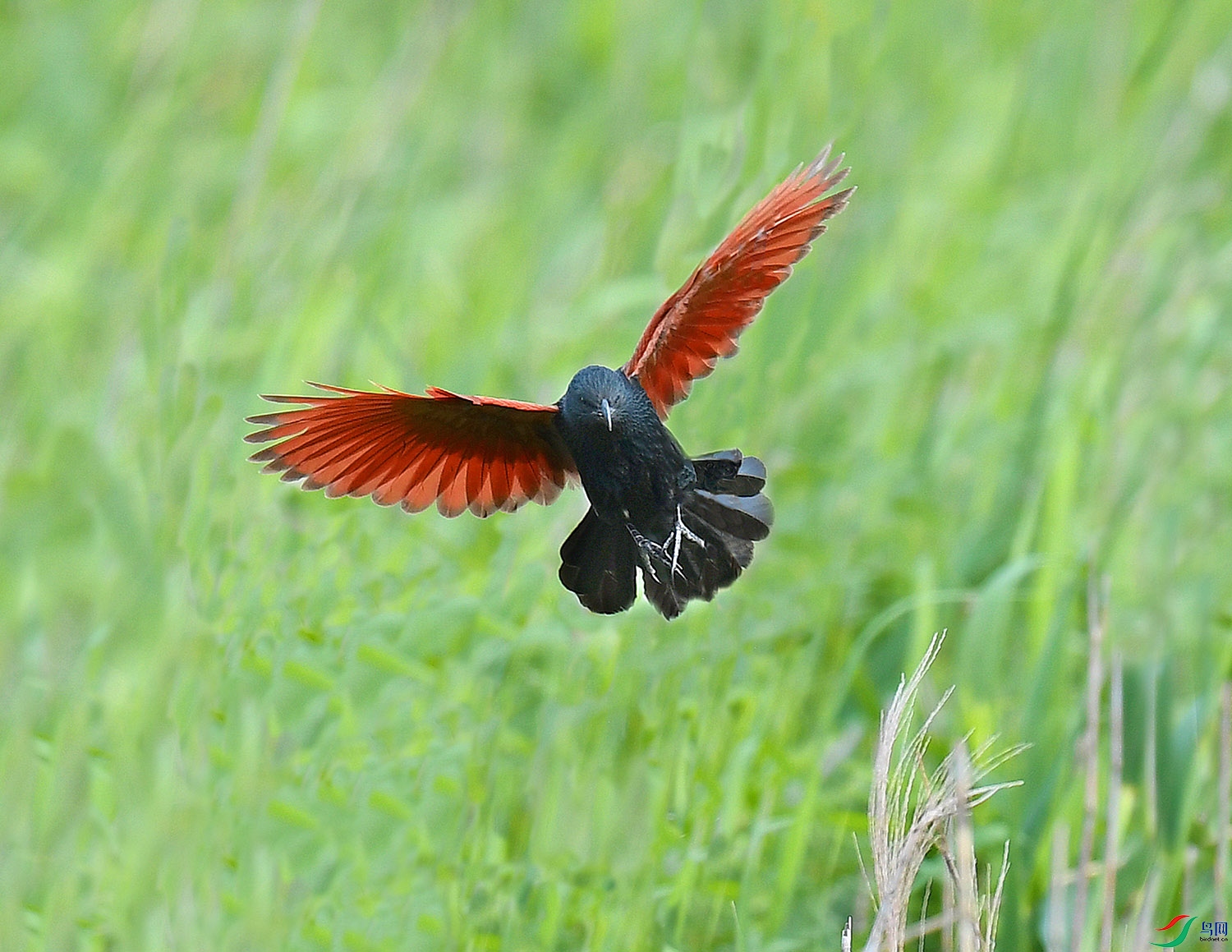 DSC_5771 - ����.JPG