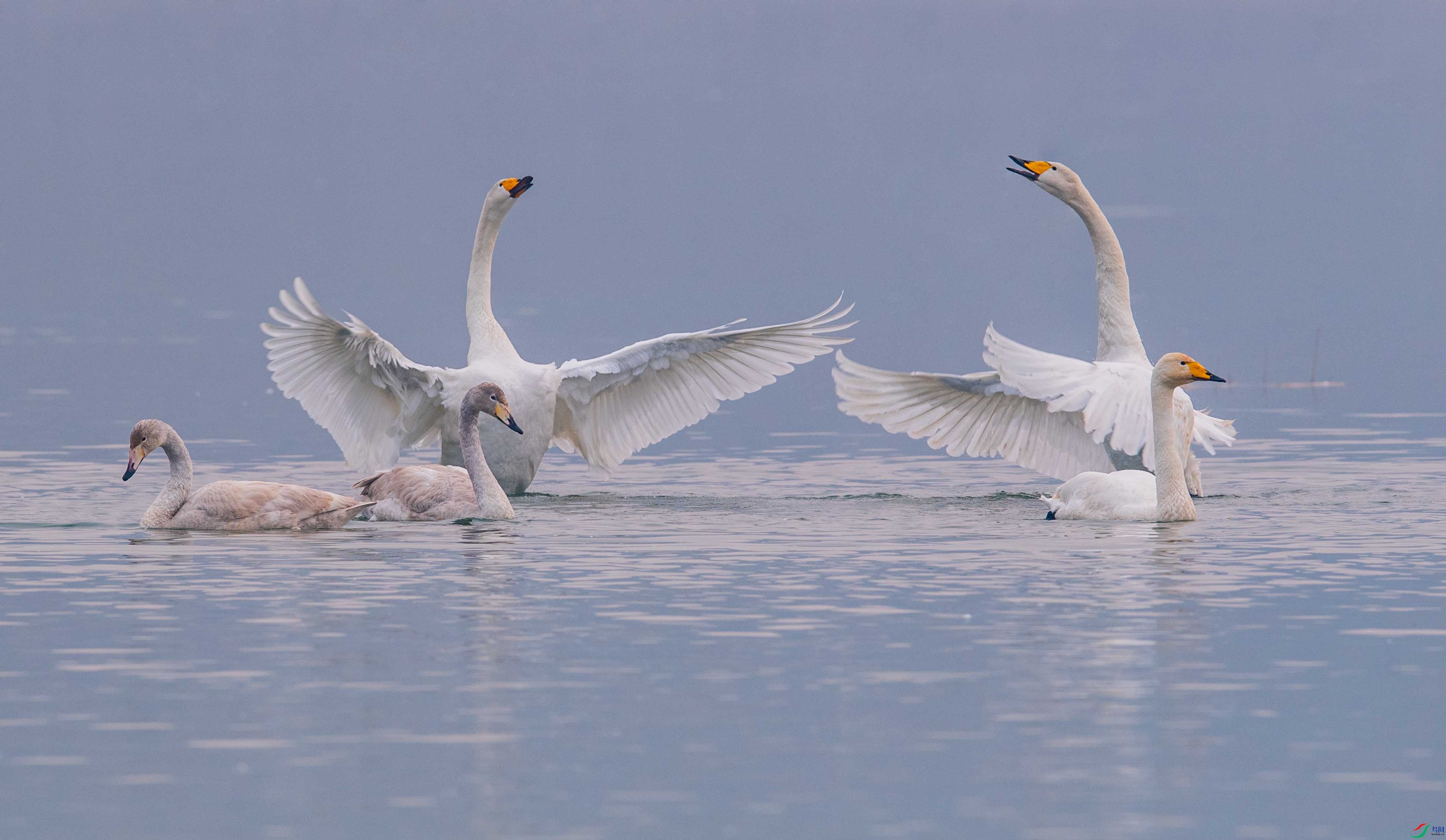 DSC_8888-1.jpg
