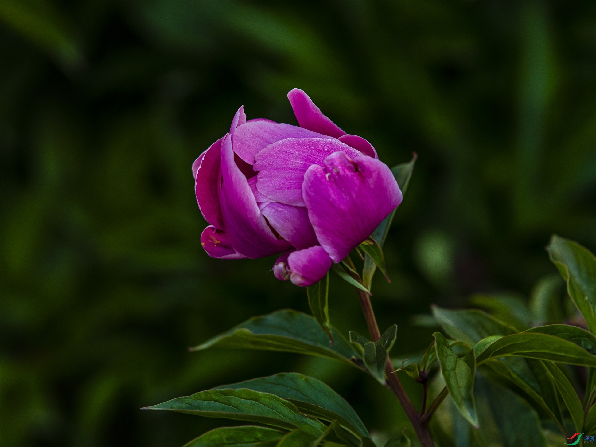 016 ����1.jpg