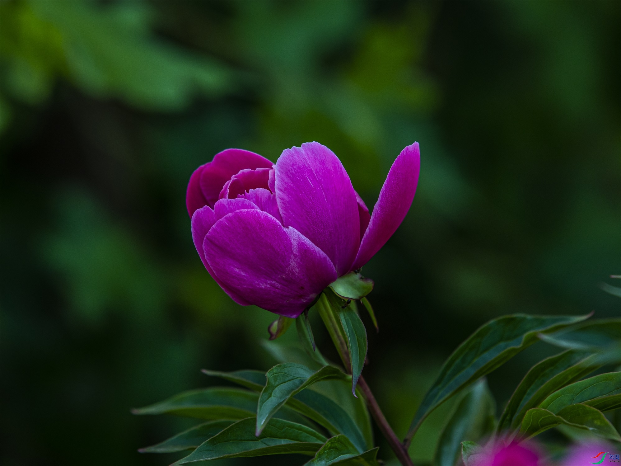 015 ����1.jpg