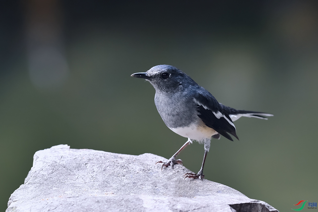 DSC_5861_DxOa.jpg
