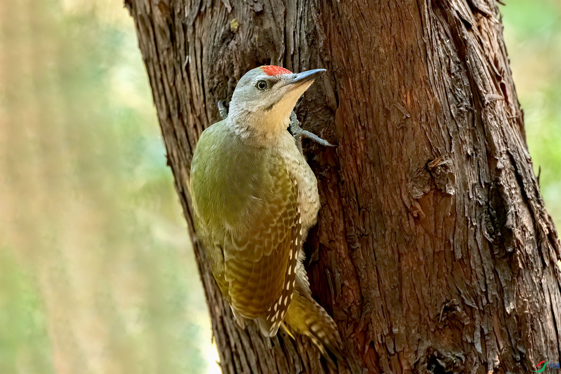 DSC_5099-9.jpg